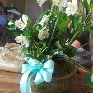 Meet your Posher, Florence